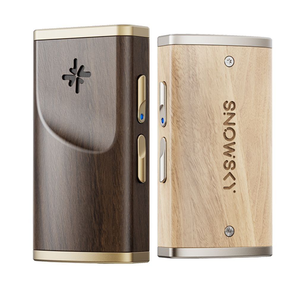 FiiO Snowsky Melody